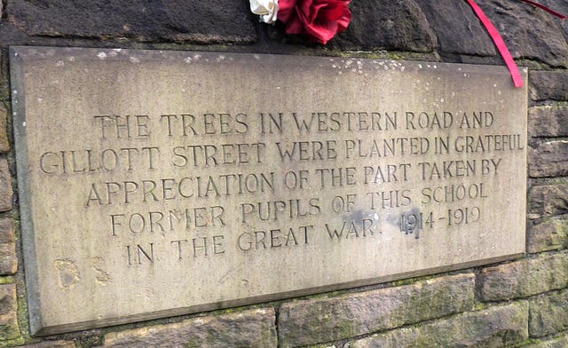 Tree felling in Sheffield