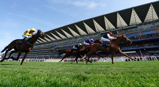 Mojo Star (second right) ran a huge race