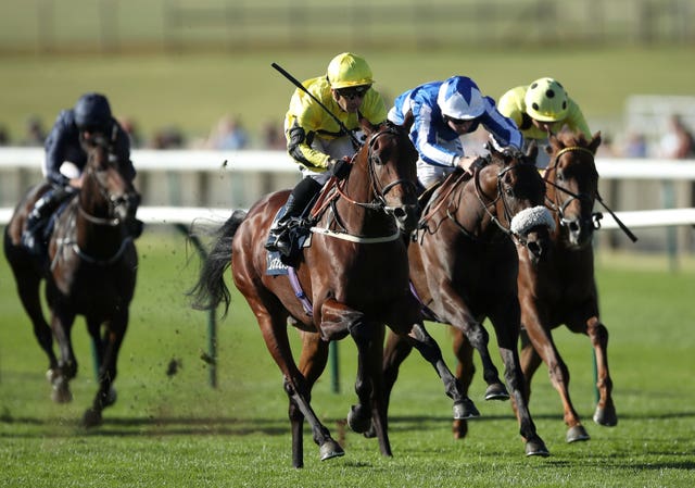 Arctic Sound was a good winner of the Tattersalls Stakes last season