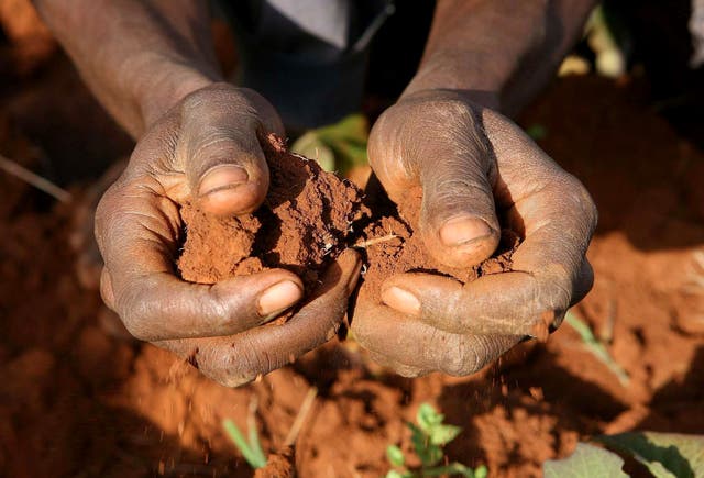 Food shortage leaves thousands staring into the abyss