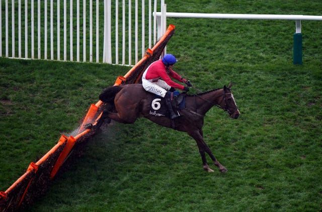 Sir Gerhard was a comfortable winner at Cheltenham