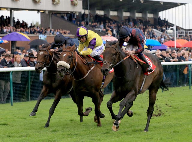 Brando (centre) is on course for another crack at the July Cup