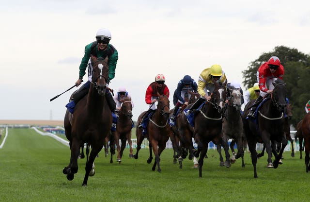 Limato has been a real star for owner Paul Jacobs and trainer Henry Candy