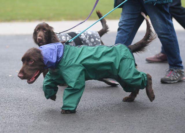 Crufts Dog Show – Day One
