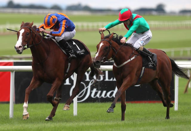 La Petite Coco (right) beating Love in the Blandford Stakes