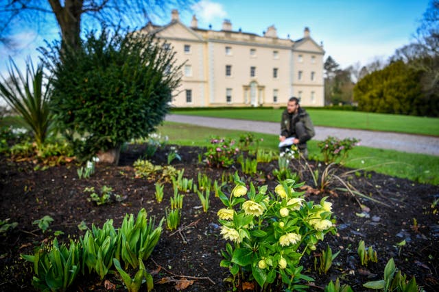 Flower count at Saltram National Trust