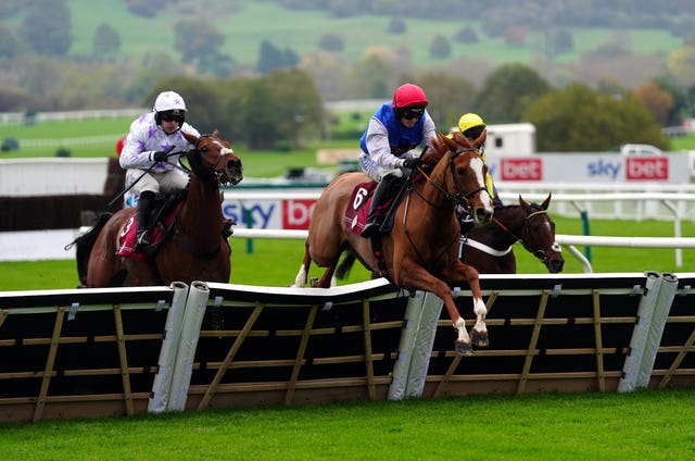 Wyenot leads the way at Cheltenham