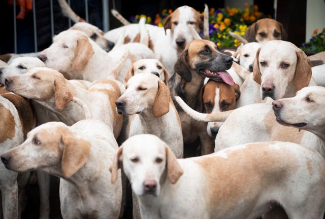 Boxing Day hunts