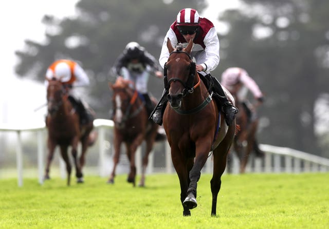 Nibblers Charm comes home alone to win the Guinness Galway Tribes Handicap Hurdle
