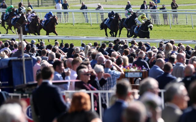 Repartee created a big impression on his debut at York