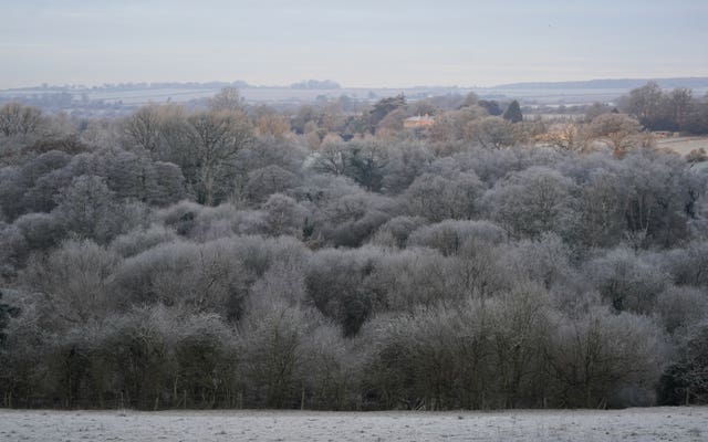 Trees