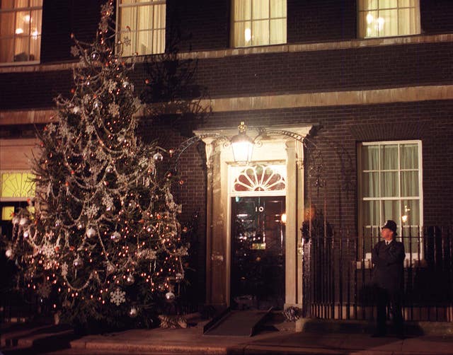 POLITICS Lights tree
