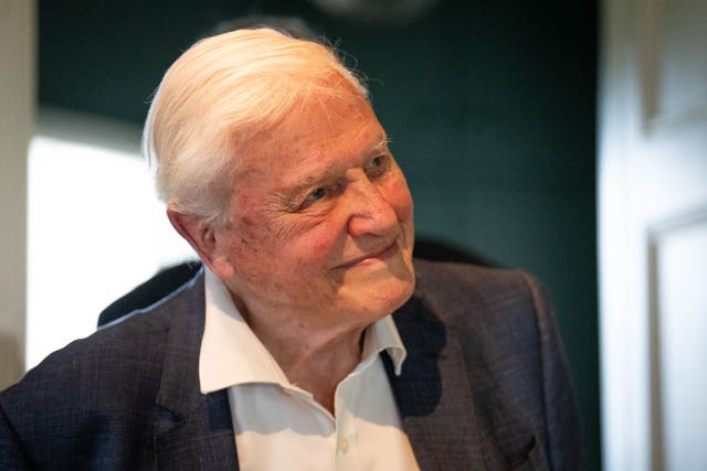 Sir David Attenborough portrait