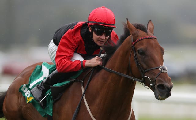 Weatherbys Super Sprint Day – Newbury Races