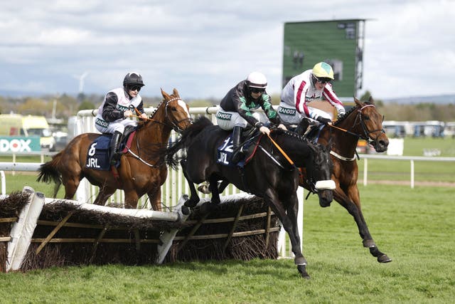 Strong Leader in action at Aintree last spring