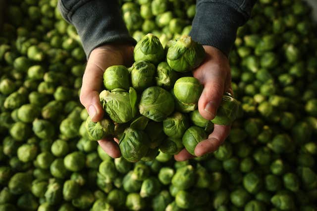 Many Brussels Sprouts died off due to the exceptionally hot May (Brian Lawless/PA).
