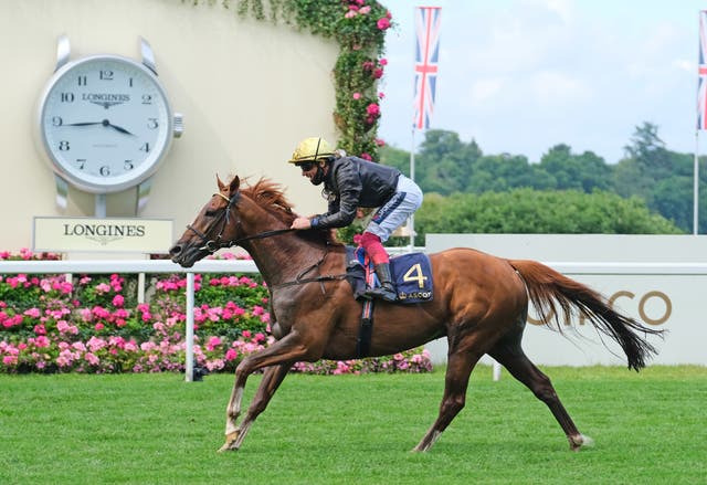 Stradivarius could bid for a fourth Gold Cup success