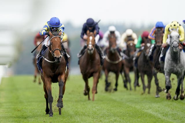 Hollie Doyle opens her British Champions Day account on Trueshan (left) in the Long Distance Cup at Ascot