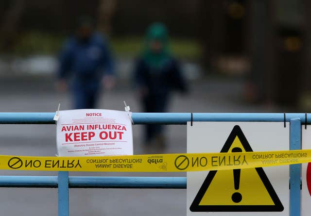 Bird flu at Craigies Poultry Farm