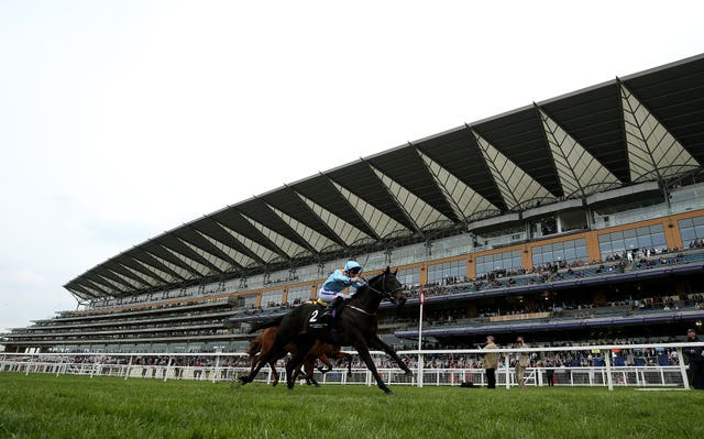Ventura Rebel heads Richard Fahey's team for the Weatherbys Super Sprint