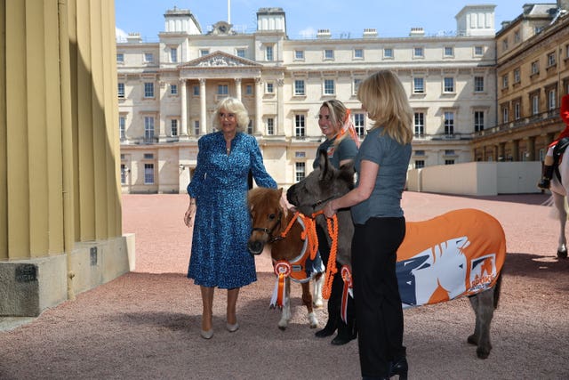 The Queen marks the 90th anniversary of Brooke, a charity dedicated to improving the lives of working horses, donkeys, and mules