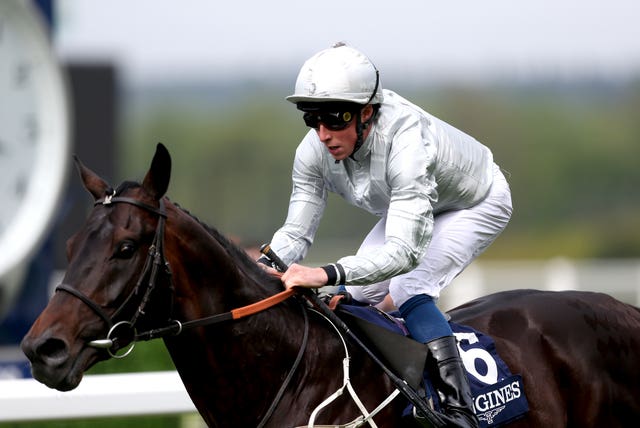 Dee Ex Bee will take on Stradivarius again
