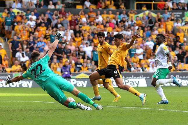 Wolverhampton Wanderers v Newcastle United – Premier League – Molineux