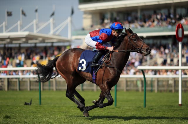 Gifted Master won his maiden at this meeting in 2015 and has won another 10 races since
