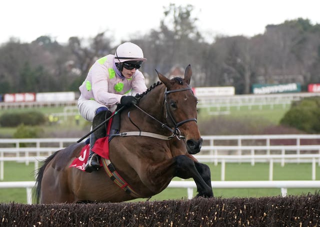 Can Chacun Pour Soi show his best at Cheltenham
