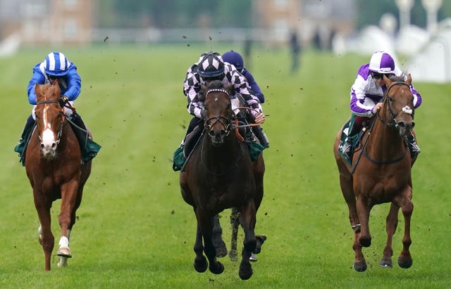 Royal Ascot Trials Day – Ascot Racecourse