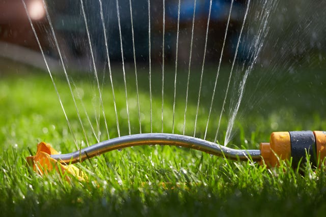 A garden being watered