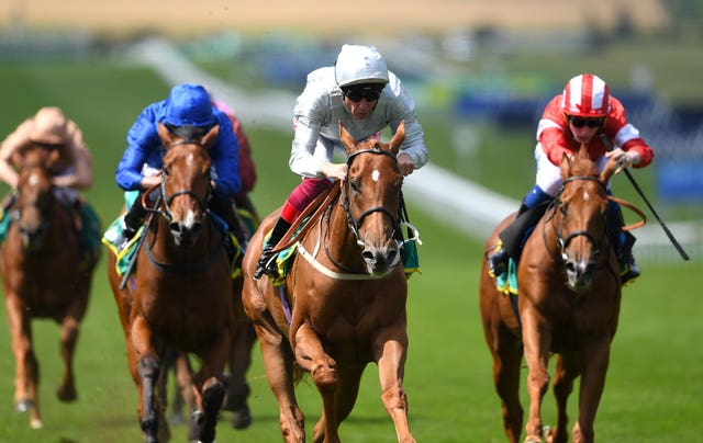 Final Song (blue cap) has performed well in defeat on her last two starts
