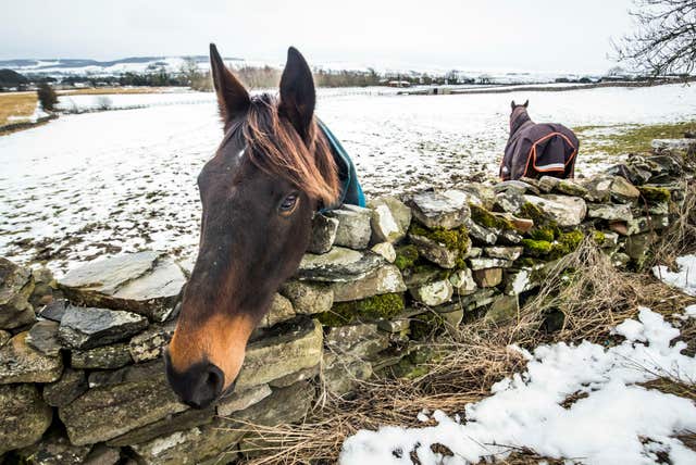 A horse peers over a frost-covered wall (Danny Lawson/PA)