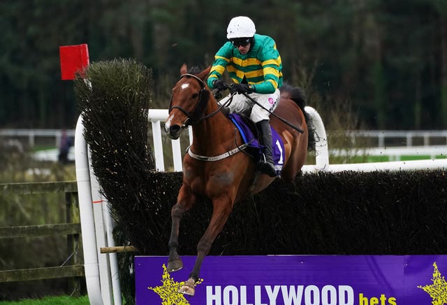 Ciel De Neige clears the final fence