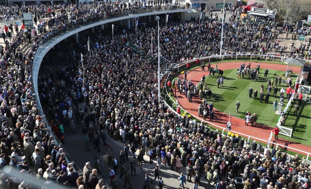 Packed scenes around the winner's enclosure following Willoughby Court's Cheltenham Festival win