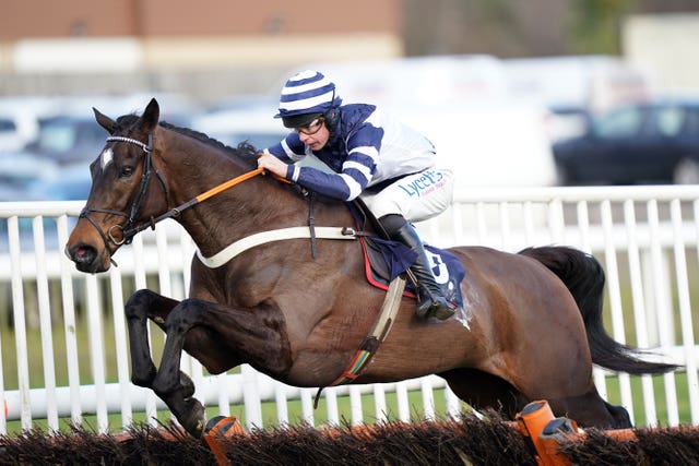 Skytastic will go novice chasing next season