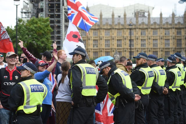 Pro-Brexit protesters