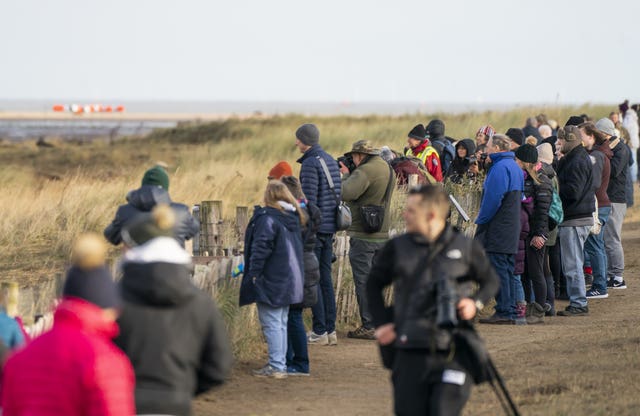 Members of the public view grey seals and their pups at Donna Nook National Nature Reserve in Lincolnshire, where grey seals come every year in late October, November and December to give birth