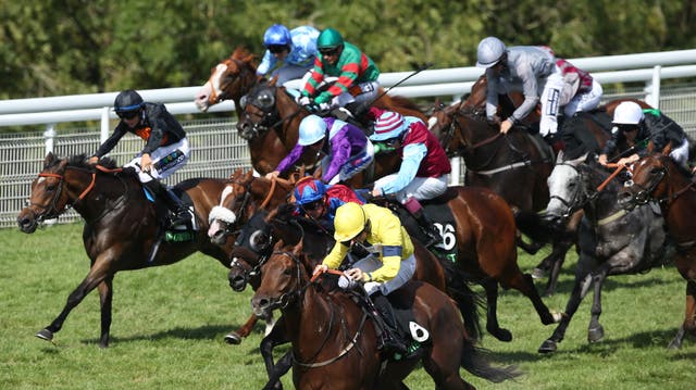 Justanotherbottle (yellow) was reeled in by Gifted Master in the Stewards' Cup