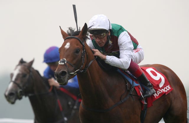 Without Parole winning the Heron Stakes at Sandown
