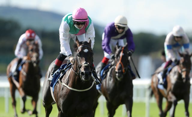 Straight Answer bounced back to form in second