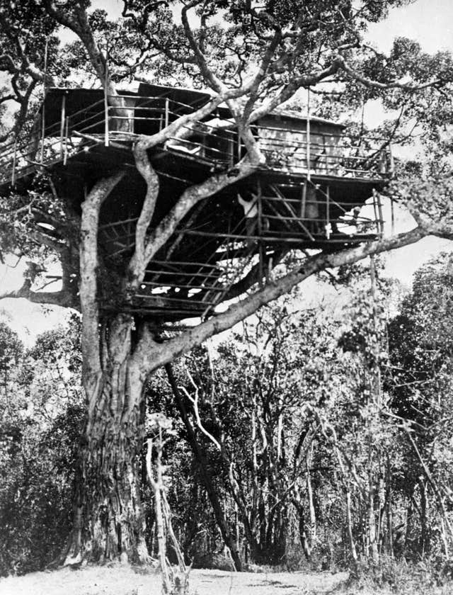 Treetops Hotel - Kenya - 1938