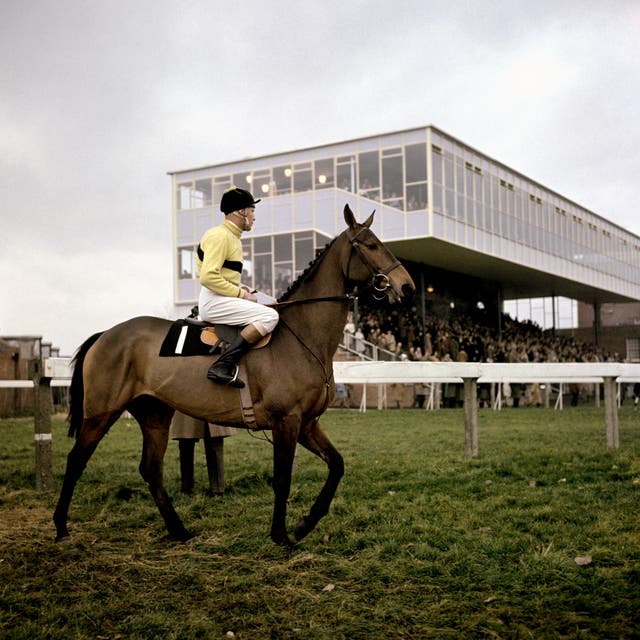 The incomparable Arkle 