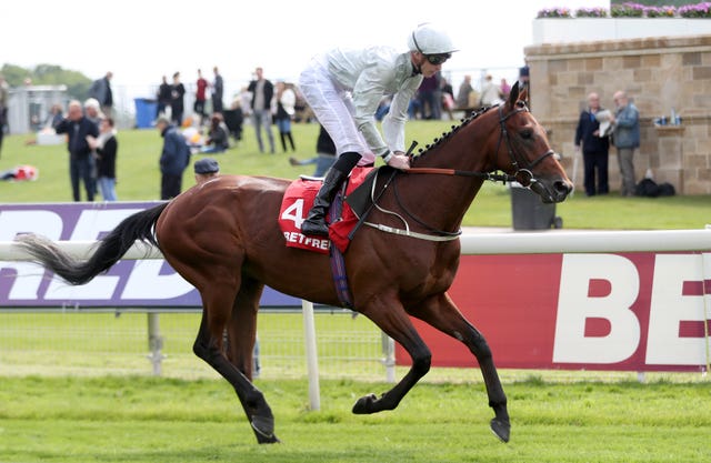Mildenberger at York last season