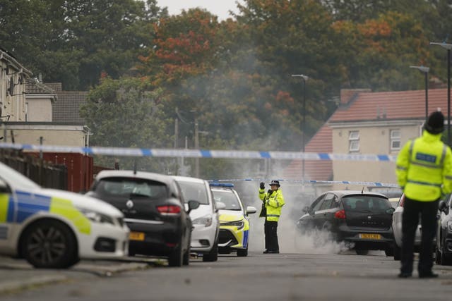 Sunderland dog attack