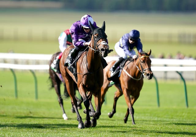 Hello You was a cosy winner of the Rockfel