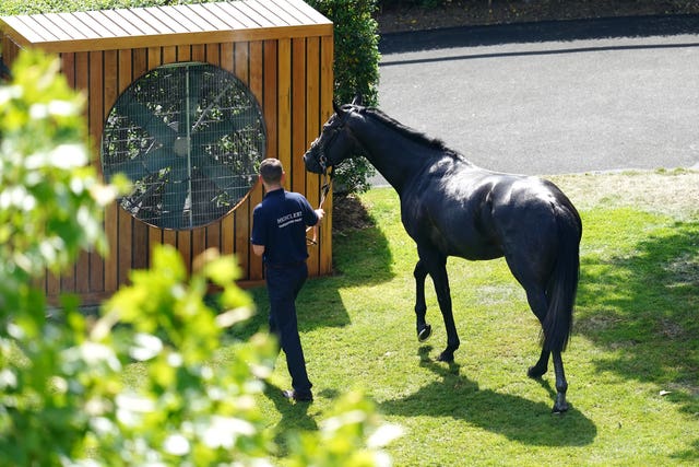 It was a very hot day at Ascot and the horses were cooled down by big fans