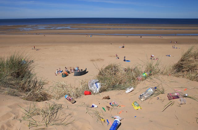 Beach-clean