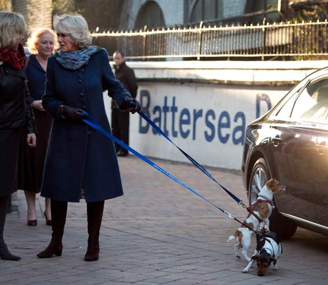 Royal visit to Battersea Dogs Home