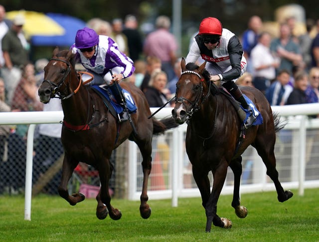 Robert Havlin riding Megallan (right)